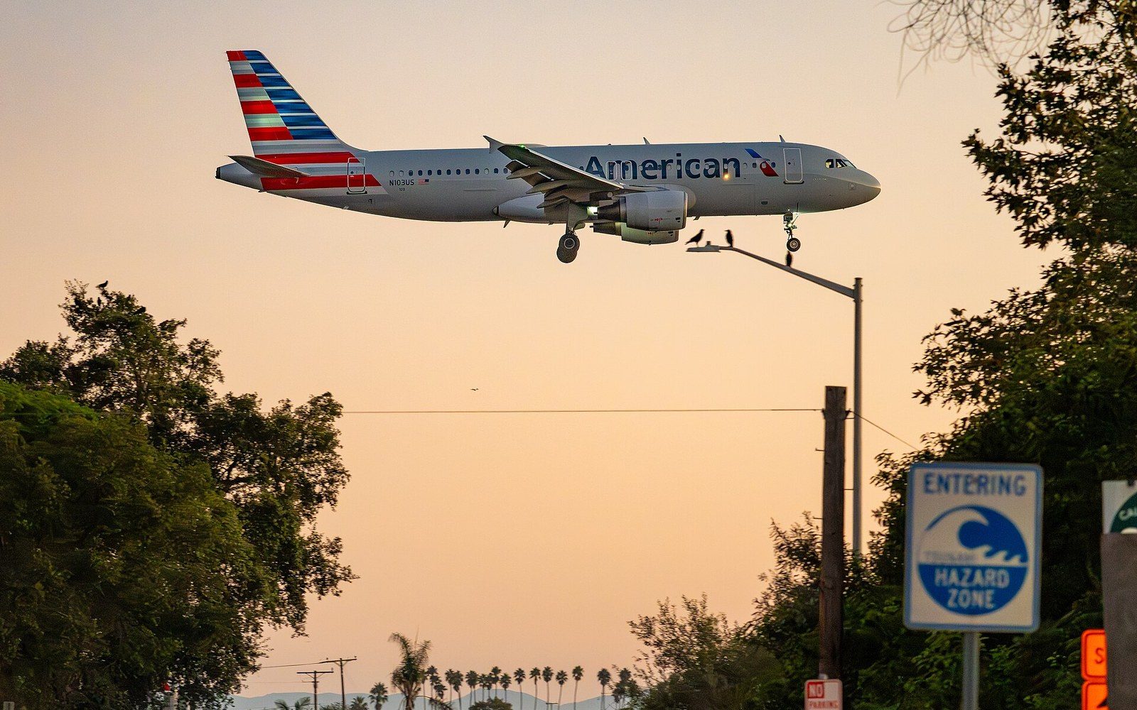 An American Airlines jet descends low over trees and a tsunami hazard zone sign at sunset