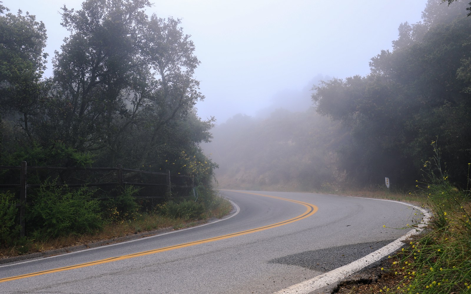 A curving two-lane road disappears into thick fog between wooded hillsides