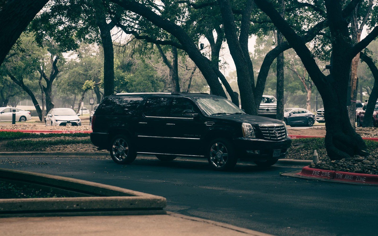 A black Cadillac Escalade ESV parked on a tree-lined street beside a fire zone curb