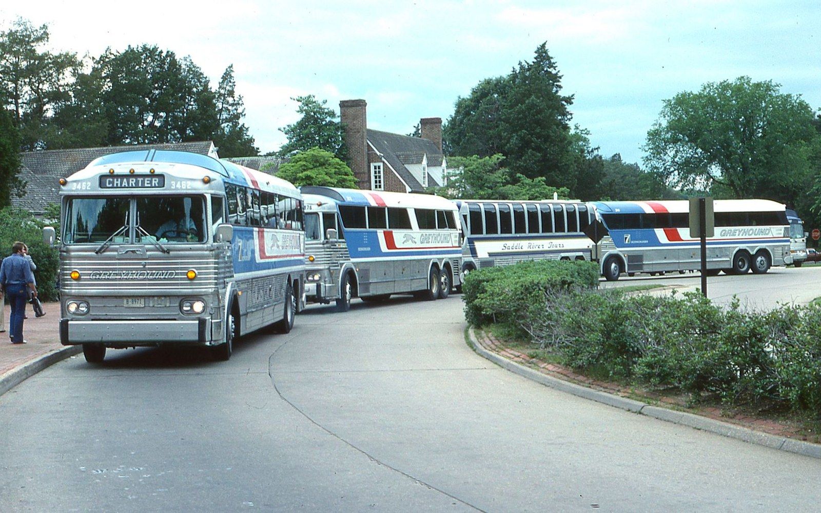 A row of charter and Greyhound coaches parked along a curved driveway near brick buildings